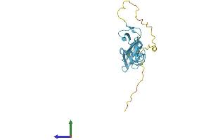 AlphaFold protein structure predicition of Human Recombinant CSRP2 Protein, UniprotID Q16527