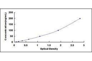 ELISA image for Cholesteryl Ester Transfer Protein (CETP) ELISA Kit (ABIN6574210)