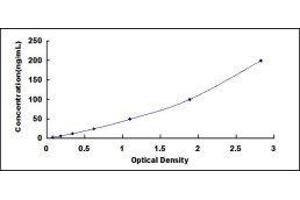 Typical standard curve (CETP ELISA Kit)