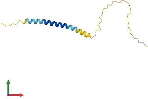 Protein Structure (PS) image for Leukocyte Specific Transcript 1 (LST1) (AA 1-95) protein (His tag) (ABIN7562212)