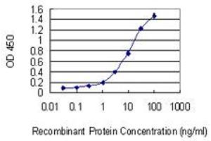 Detection limit for recombinant GST tagged ABCC11 is 0. (ABCC11 antibody  (AA 433-532))