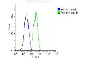 Flow Cytometry (FACS) image for anti-Glutathione Peroxidase 1 (GPX1) (AA 164-193), (C-Term) antibody (ABIN653263)