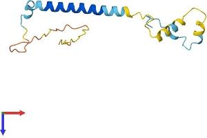 AlphaFold protein structure predicition of Mouse Recombinant Paip2b Protein, UniprotID Q91W45 (PAIP2B Protein (AA 1-136) (His tag))