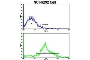 Flow Cytometry (FACS) image for anti-Fat Mass and Obesity-Associated (FTO) antibody (ABIN3002909) (FTO antibody)