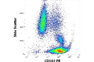 Flow cytometry surface staining pattern of human peripheral whole blood stained using anti-human CD102 (CBR-IC2/2) PE antibody (10 μL reagent / 100 μL of peripheral whole blood). (ICAM2 antibody  (PE))