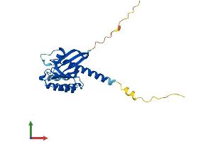 Protein Structure (PS) image for Ras-Like Without CAAX 1 (RIT1) (AA 1-219) protein (His tag) (ABIN7551424)