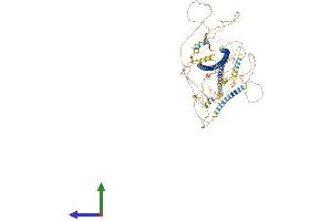 Protein Structure (PS) image for Trafficking Protein, Kinesin Binding 1 (TRAK1) (AA 1-939) protein (His tag) (ABIN7564116)