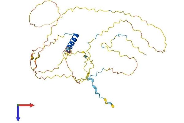 RAD51AP1 Protein (AA 1-337) (His tag)