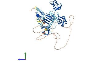AlphaFold protein structure predicition of Mouse Recombinant Pabpc1 Protein, UniprotID P29341 (PABP Protein (AA 1-636) (His tag))
