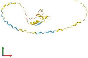 Protein Structure (PS) image for Myelin Associated Oligodendrocyte Basic Protein (MOBP) (AA 1-170) protein (His tag) (ABIN7560921)