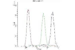 Flow Cytometry analysis of U251 cells using anti-ADO antibody (ABIN4886431). (ADO antibody  (AA 49-261))