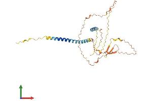 AlphaFold protein structure predicition of Mouse Recombinant Spem1 Protein, UniprotID Q5F289 (SPEM1 Protein (AA 1-310) (His tag))