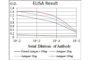 Red: Control Antigen (100ng) ; Purple: Antigen (10ng) ; Green: Antigen (50ng) ; Blue: Antigen (100ng). (CD166 antibody  (AA 48-216))