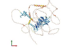 AlphaFold protein structure predicition of Mouse Recombinant Mphosph8 Protein, UniprotID Q3TYA6