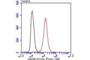 Flow Cytometry (FACS) image for anti-SMAD, Mothers Against DPP Homolog 3 (SMAD3) antibody (ABIN5557524)