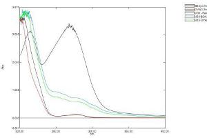 Image no. 2 for Vitamin D3 protein (BSA) (ABIN1880134) (Vitamin D3 Protein (BSA))