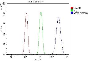 Flow Cytometry analysis of A431 cells using anti-MTA2 antibody (ABIN7599519). (MTA2 antibody  (AA 1-668))