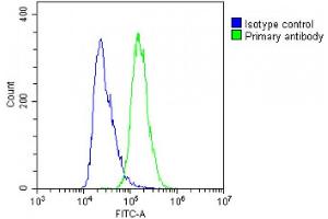 Overlay histogram showing A431 cells stained with C(green line). (SCEL antibody  (AA 260-289))