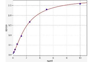 Typical standard curve (MMP26 ELISA Kit)