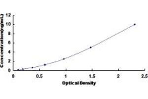 Typical standard curve (SNX9 ELISA Kit)