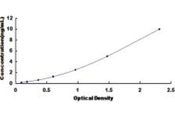 SNX9 ELISA Kit