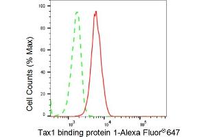 anti-Tax1 (Human T-Cell Leukemia Virus Type I) Binding Protein 1 (TAX1BP1) antibody