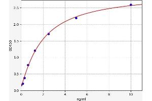 Calnexin ELISA Kit