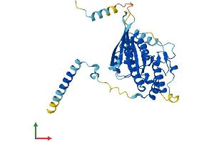 Protein Structure (PS) image for Dynein, Cytoplasmic 2, Light Intermediate Chain 1 (DYNC2LI1) (AA 1-351) protein (His tag) (ABIN7546972)