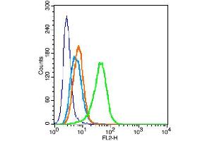 U-937 cells were fixed with 2% PFA for 10min at room temperature, and incubated in 5% BSA blocking buffer for 30 min at room temperature. (Perilipin A/B antibody)