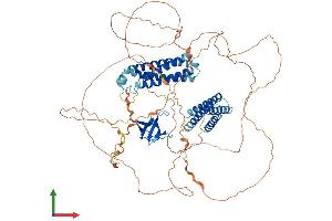AlphaFold protein structure predicition of Mouse Recombinant Cass4 Protein, UniprotID Q08EC4