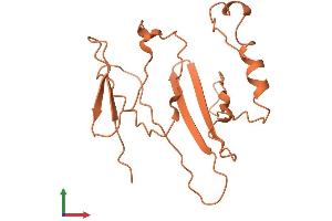AlphaFold protein structure predicition of Human Recombinant FAM106A Protein, UniprotID Q4KMX7 (FAM106A Protein (AA 1-169) (His tag))