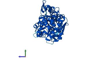 AlphaFold protein structure predicition of Mouse Recombinant Gpd1l Protein, UniprotID Q3ULJ0 (GPD1L Protein (AA 1-351) (His tag))