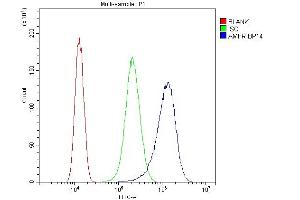 Flow Cytometry analysis of SiHa cells using anti-AMFR antibody (ABIN4886455). (AMFR antibody  (AA 553-643))