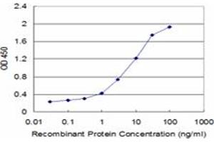 Detection limit for recombinant GST tagged FAS is approximately 0. (FAS antibody  (AA 20-119))