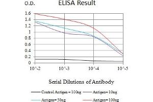 Black line: Control Antigen (100 ng),Purple line: Antigen (10 ng), Blue line: Antigen (50 ng), Red line:Antigen (100 ng) (ACSS1 antibody  (AA 548-689))