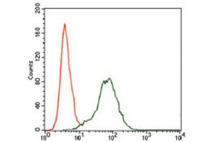 Flow Cytometry (FACS) image for anti-Insulin-Like Growth Factor 2 (IGF2) (AA 25-180) antibody (ABIN1846026) (IGF2 antibody  (AA 25-180))