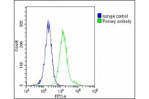 Overlay histogram showing Hela cells stained with (ABIN6242502 and ABIN6578624)(green line). (NUP93 antibody  (AA 20-54))