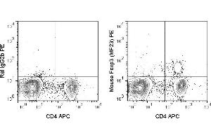 C57Bl/6 splenocytes were stained with APC Anti-Mouse CD4 (ABIN6961501), followed by intracellular staining with 0. (FOXP3 antibody  (PE))