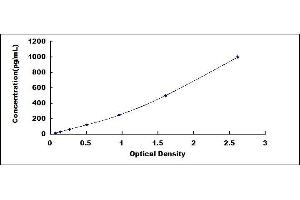 Typical standard curve (CXCL10 ELISA Kit)