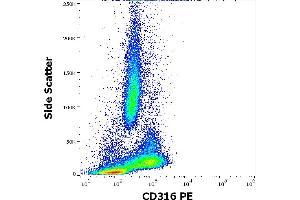Flow cytometry surface staining pattern of human peripheral whole blood stained using anti-human CD316 (8A12) PE antibody (10 μL reagent / 100 μL of peripheral whole blood). (IGSF8 antibody  (PE))