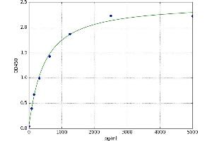 Solute Carrier Family 18 (Vesicular Monoamine Transporter), Member 2 (SLC18A2) ELISA Kit