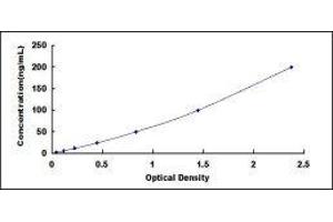 Typical standard curve (FBLN4 ELISA Kit)