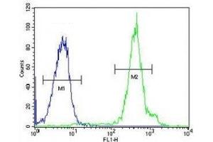 FUS antibody flow cytometric analysis of HeLa cells (right histogram) compared to a negative control (left histogram).
