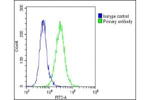 Overlay histogram showing A549 cells stained with (green line). (F13A1 antibody  (AA 60-94))