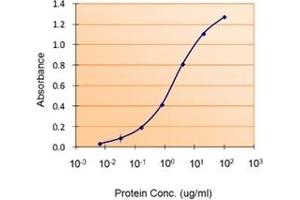 Image no. 3 for anti-Lactotransferrin (LTF) (Internal Region) antibody (ABIN375038) (Lactoferrin antibody  (Internal Region))