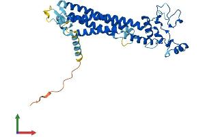 AlphaFold protein structure predicition of Human Recombinant PRPH2 Protein, UniprotID P23942 (PRPH2 Protein (AA 1-346) (His tag))