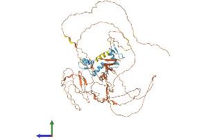 AlphaFold protein structure predicition of Human Recombinant SP2 Protein, UniprotID Q02086