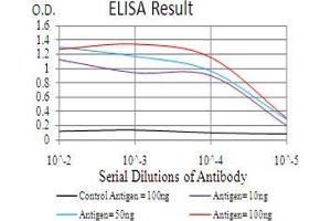 Black line: Control Antigen (100 ng), Purple line: Antigen(10 ng), Blue line: Antigen (50 ng), Red line: Antigen (100 ng), (FGFR3 antibody  (AA 529-694))
