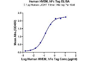 ELISA image for Tumor Necrosis Factor Receptor Superfamily, Member 14 (TNFRSF14) (AA 39-202) protein (Fc Tag) (ABIN7274832)