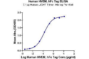 HVEM Protein (AA 39-202) (Fc Tag)